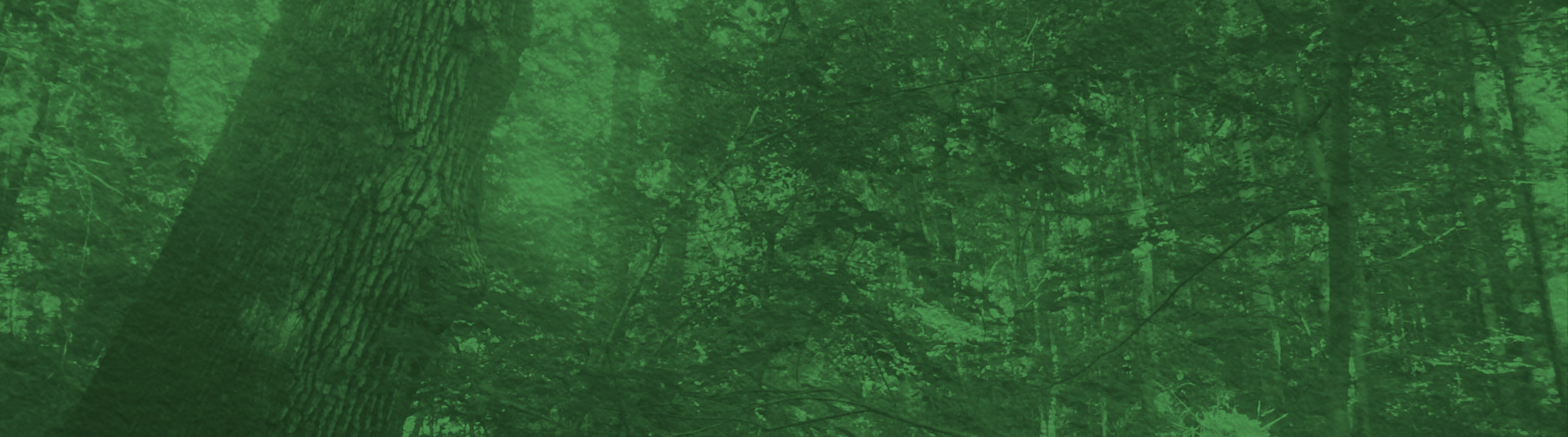 Franklin Woodland Trails Banner