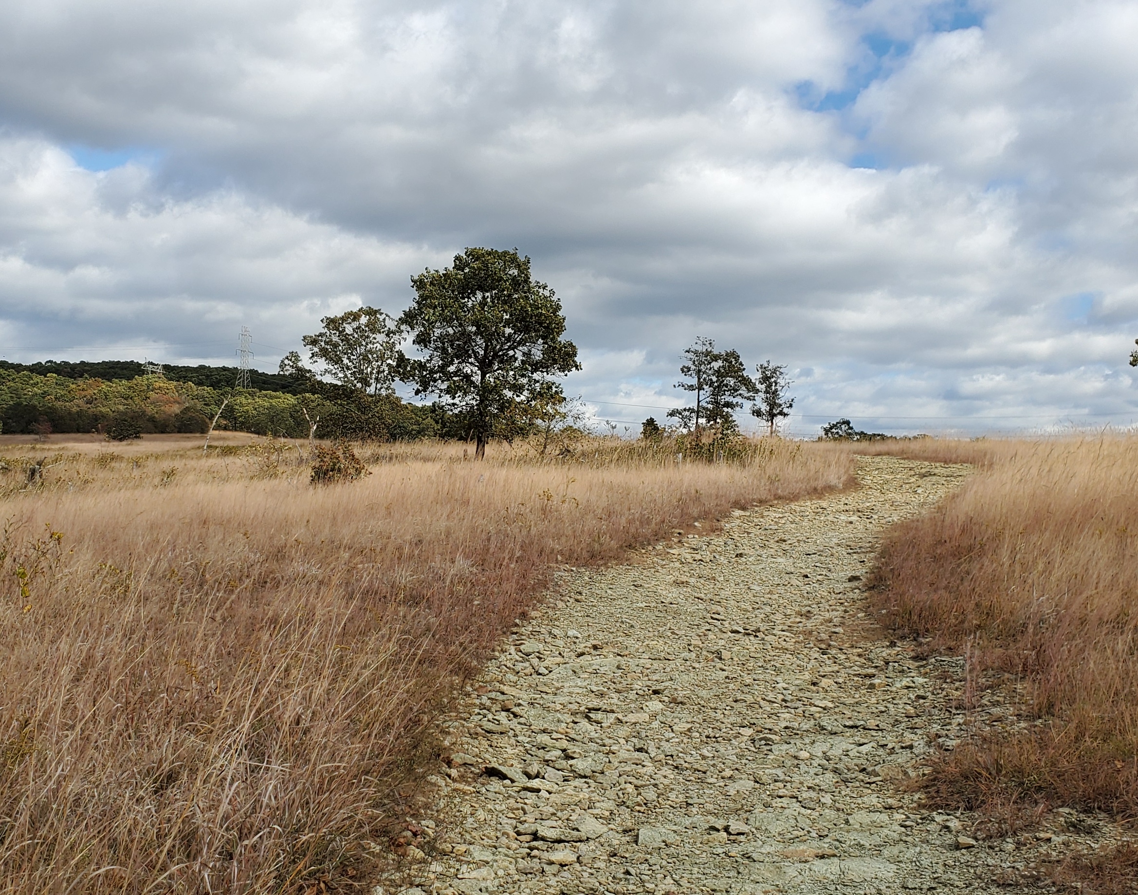 Soldiers Delight Natural Environment Area